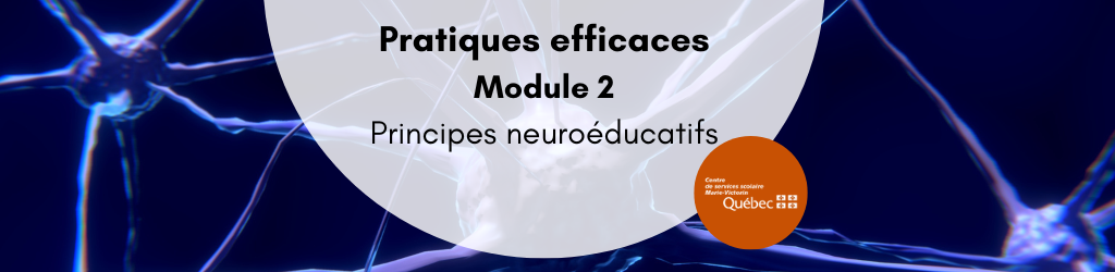 Pratiques efficaces : Module 2