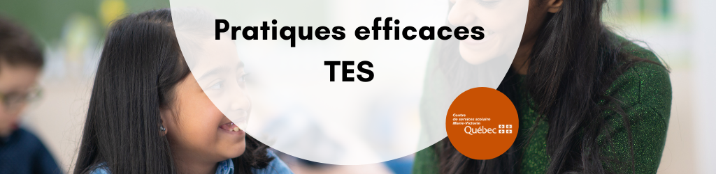 Pratiques efficaces TES